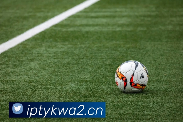 星空网官方登录服务体系